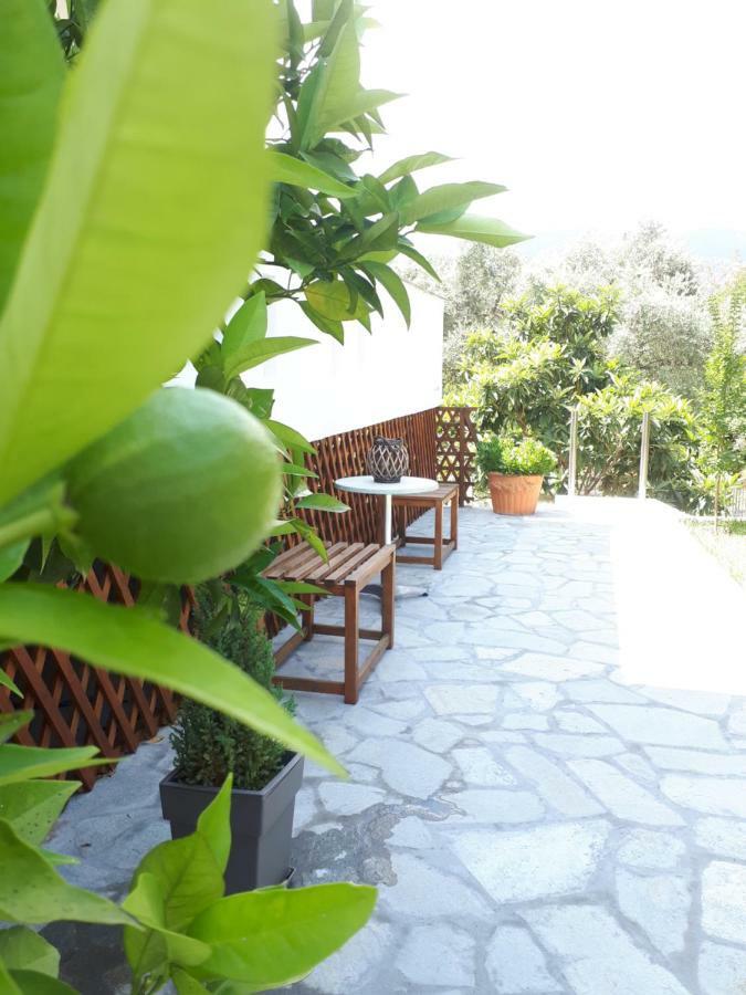 Studios Thea Fresh Rooms Thassos Buitenkant foto